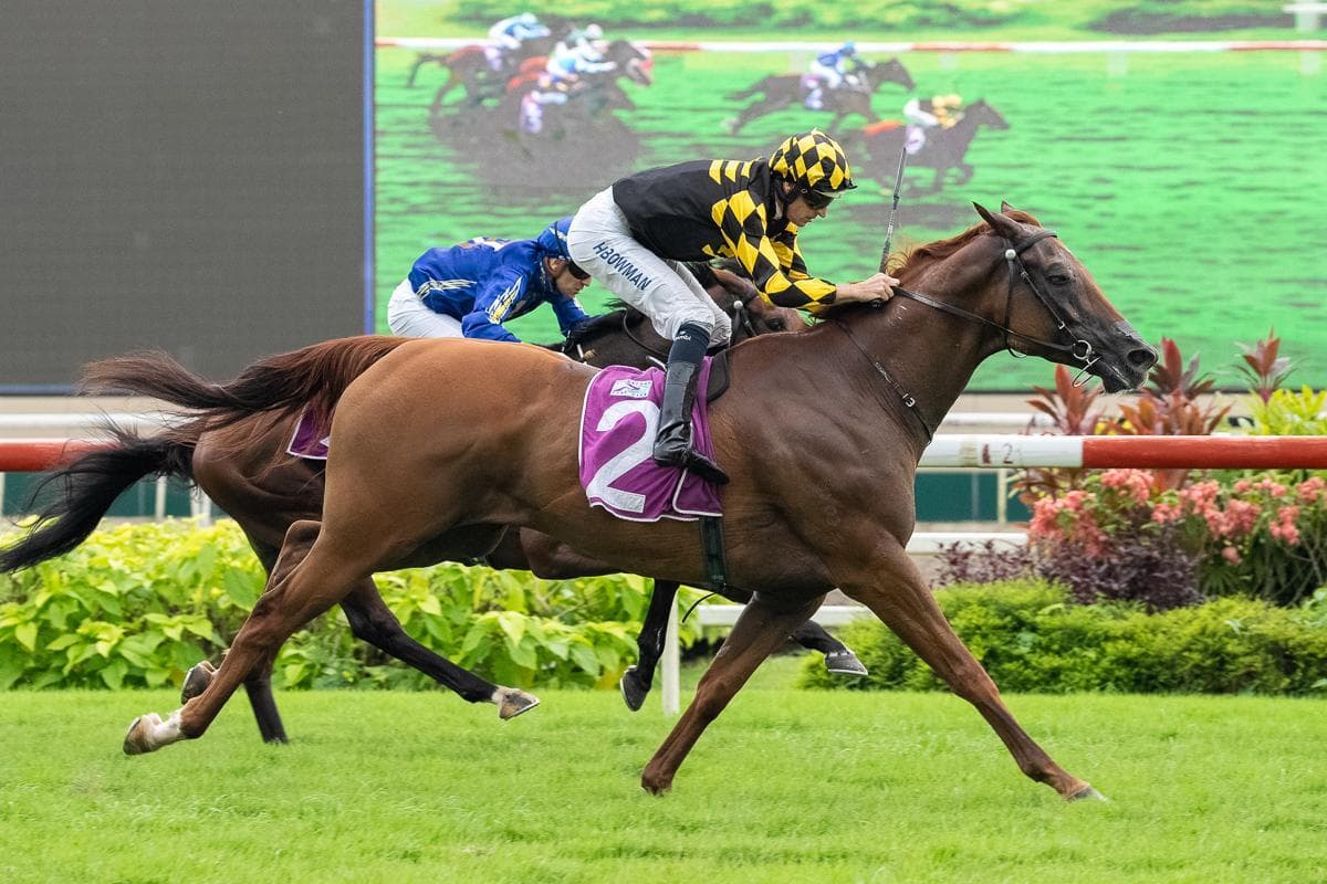 WhatsApp Image 2025-02-06 at 16.32.47 (2).jpeg