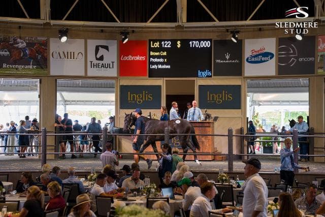 Classic Additions to Stable